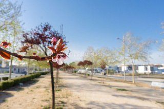 Terreno en venta en Zona Piscinas en Burriana