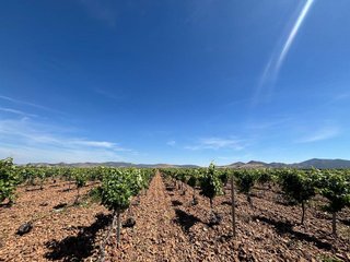 Terreno en venta en Malagón