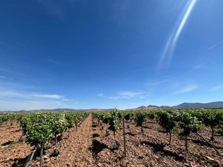 Terreno en venta en Malagón