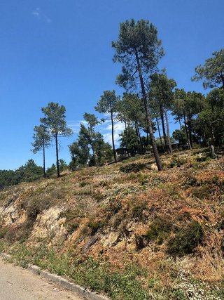 Terreno en venta en Vidreres