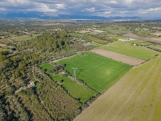 Solar en venta en Llubí