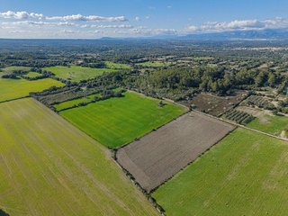 Solar en venta en Llubí