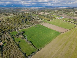 Solar en venta en Llubí