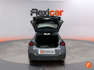 Citroën C4 Cactus PureTech 110 S&S C-Series