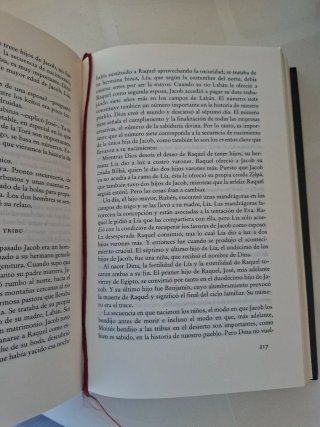 El círculo mágico