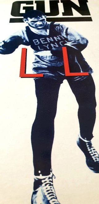 Vinilo GUN - Gallus