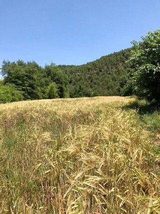 Terreno en venta en Baronia de Rialb, la