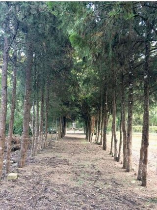 Terreno en venta en Baronia de Rialb, la