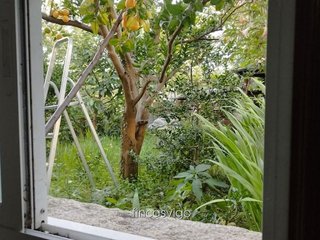 Chalet en venta en Coruxo - Oia - Saiáns en Vigo
