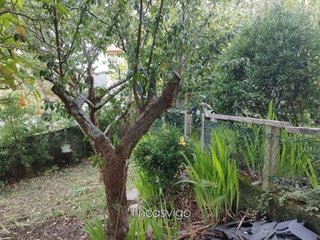Chalet en venta en Coruxo - Oia - Saiáns en Vigo