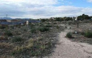 Terreno en venta en Crevillent