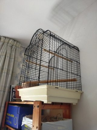 Jaula_Voladera_Pájaro/Ave Grande