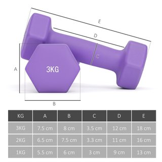 Set 6 Manubri Pesi 2x1kg 2x2kg 2x3kg con Supporto