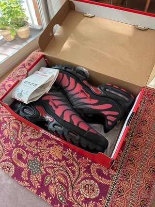 Nike Air Max Plus