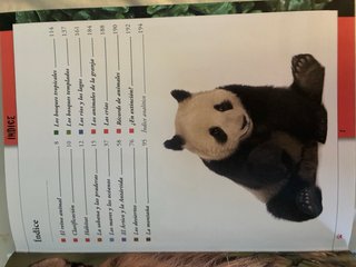 ¿Por qué, cómo, cuándo y dónde de los animales?