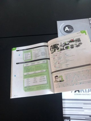 Arian A1.1 euskara ikasteko metodoa. Lan-koadernoa