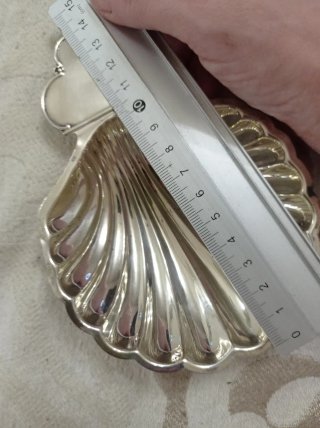 Concha de plata decorativa