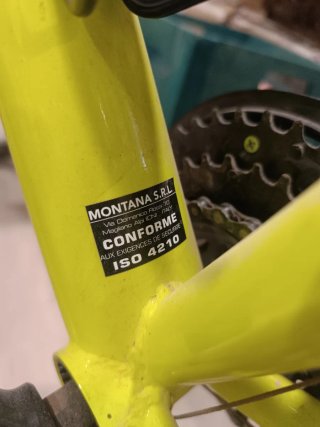 Bicicleta Montana verde