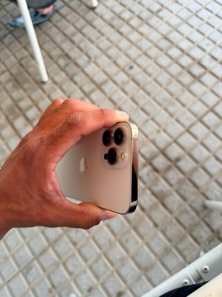 iPhone 13 Pro Max Dorado/Plateado
