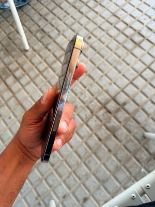 iPhone 13 Pro Max Dorado/Plateado
