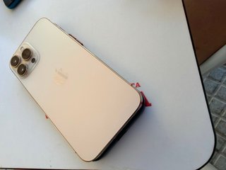 iPhone 13 Pro Max Dorado/Plateado