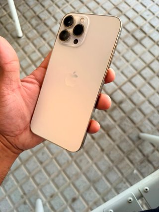 iPhone 13 Pro Max Dorado/Plateado