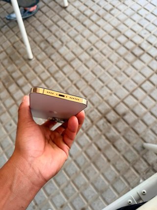 iPhone 13 Pro Max Dorado/Plateado