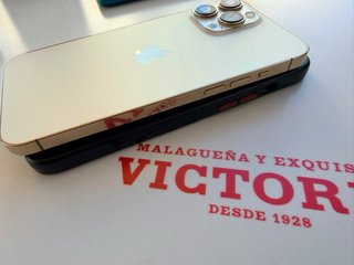iPhone 13 Pro Max Dorado/Plateado