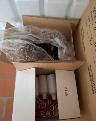 Lote de envases: botellas y garrafas