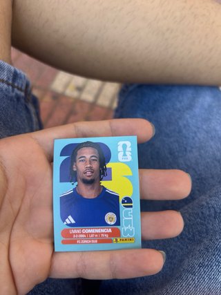Carta Panini Mathieu Choinière Canadá