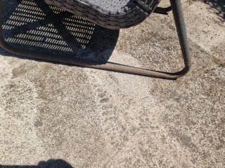 Sillas de exterior grises (2 unidades)