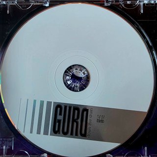 CD – Gurd – Down The Drain