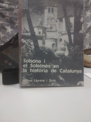 Solsona i el Solsonès en la història de Catalunya