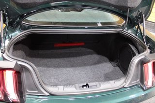 Ford Mustang 5.0 Ti-VCT V8 Mustang GT Bullit(Fastsb.)