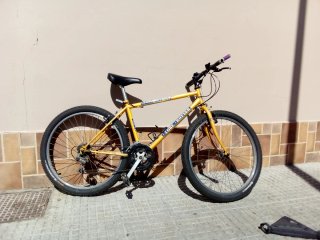 Bicicleta Montaña Globe Trotter
