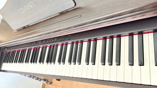 Piano Digital Casio Celviano AP-20