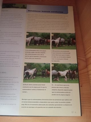 Espíritu natural del caballo Conocer y potencia...