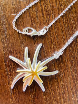 Colgante Plata Estrella de Mar