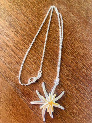 Colgante Plata Estrella de Mar