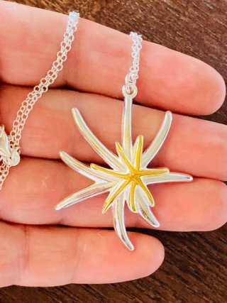 Colgante Plata Estrella de Mar