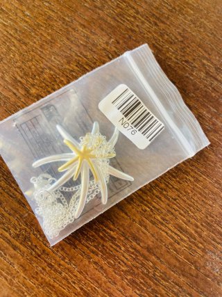 Colgante Plata Estrella de Mar