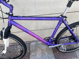 Bicicleta Morada Montaña