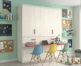 LLIT PLEGABLE AMB PORTES PLEGABLES I ESCRIPTORI I