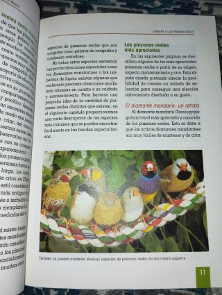 El nuevo libro de los pájaros exóticos