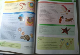 Biología, Geología y Ciencias Ambientales 1 Bac...