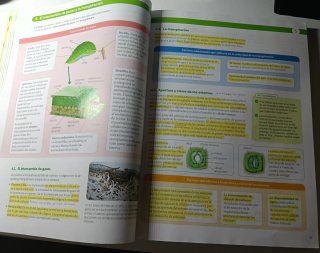 Biología, Geología y Ciencias Ambientales 1 Bac...