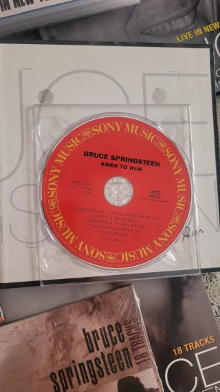 Bruce Springsteen CDs y DVD Colección