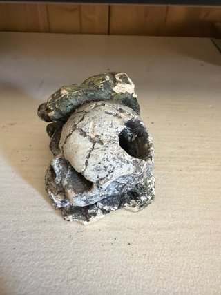 Calavera decorativa para acuario