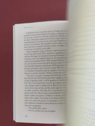 Ànima d'acer