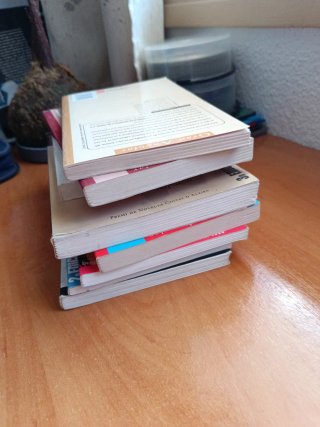 Pack de libros juveniles, castellano y valenciano